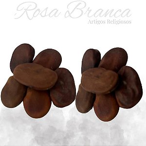 Fava de Iansã