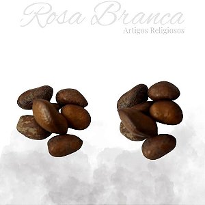 Fava Ario