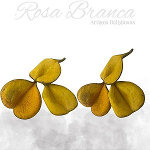 Fava Oxum
