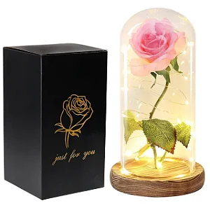 Luminária Cúpula Rosa Encantada Bela e a Fera