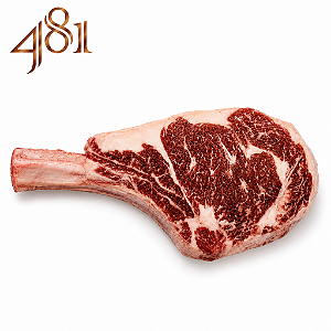PRIME RIB - 481