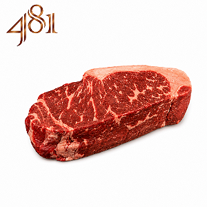 CHORIZO DE COLHER - 481