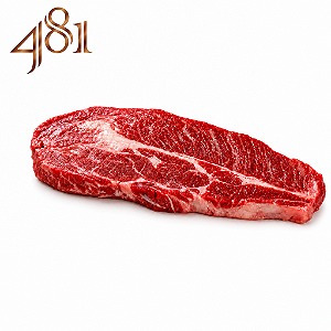 SHORT RIB - 481