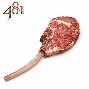 TOMAHAWK - 481