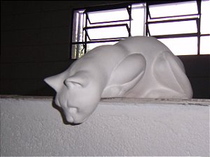 GATO XERETA - 1130