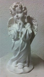ANJO ORANDO 25CM - 1260-E