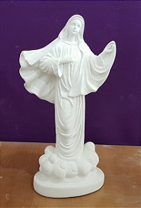 NOSSA SENHORA RAINHA DA PAZ 28CM - 1993