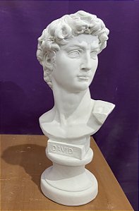 BUSTO DAVID 29CM - 2206