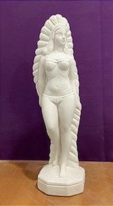 INDIA 60CM - 2238