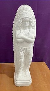 CACIQUE PENA BRANCA 51CM - 2252