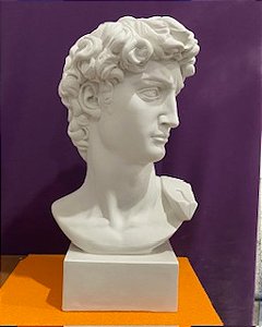 DAVID CABEÇA 60CM - 2434