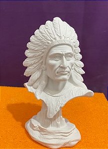 BUSTO DE INDIO 25CM - 2435