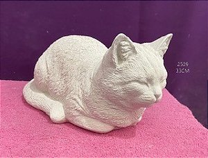 GATO ANGORÁ 33CM - 2509