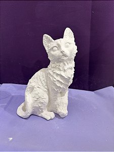 GATO ANGORA - 2629
