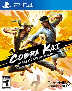 Cobra Kai The Karate Kid Saga Continues PS4