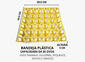CARTELA DE OVOS COR: Amarelo