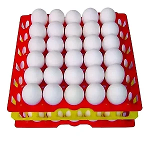 Porta Ovo Cartela Plástica Para 30 ovos Bandeja Higiênica