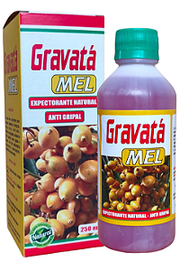 Xarope Gravatá Mel Natural 250ml