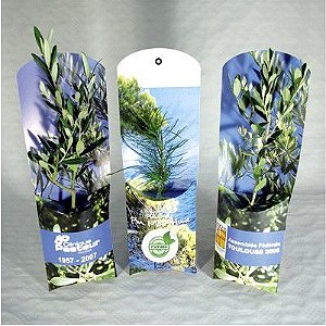 S108 - kit cultivo parede personalizado