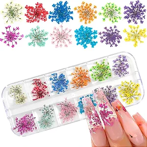 KIT FLOR SECA  DECORAÇÃO UNHAS CORES