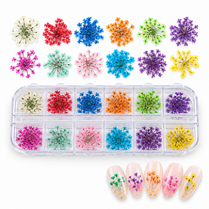 KIT FLOR SECA DECORAÇÃO UNHAS CORES