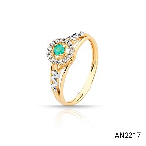 AN2217 10K