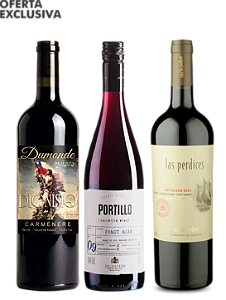 Kit Dumonde Carmenere + Las Perdices + Portillo