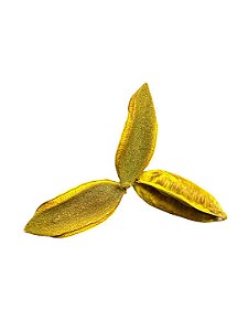 Fava Chama Dinheiro- Unidade