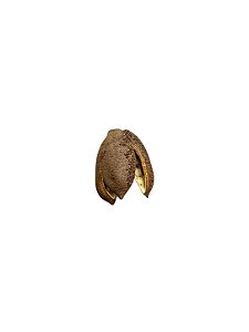 Fava De Obara- Unidade