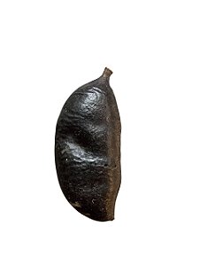 Fava De Ogum Pau Ferro- Unidade