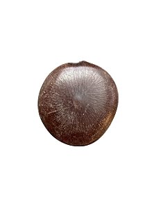 Fava De Alibe- Unidade