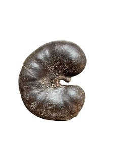 Fava De Oba- Unidade
