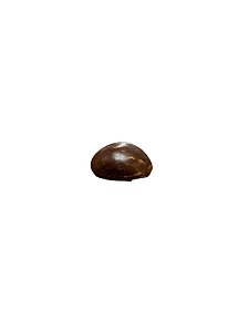 Fava De Ewa- Unidade
