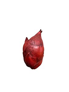 Fava De Pomba Gira- Unidade