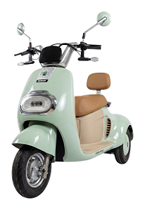 Scooter Elétrica WD-11