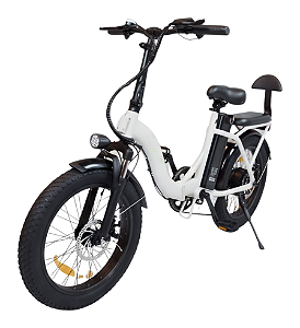 Bicicleta Elétrica Cargo YL-06