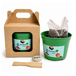AL001 - Brinde Kraft Visor com Semente Personalizada