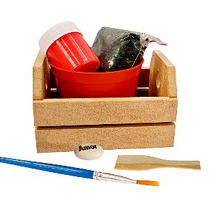 AL036 - Kit Caixote 6 Mm com Tinta e Pincel e Semente Gravada