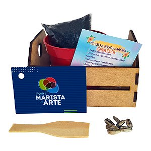 AL037 - Kit Caixote 3 Mm com Sementes de Flores