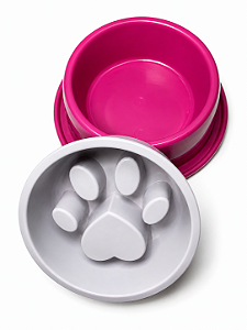 Comedouro Educativo para Cães