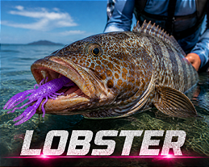 Isca Soft - Lobster