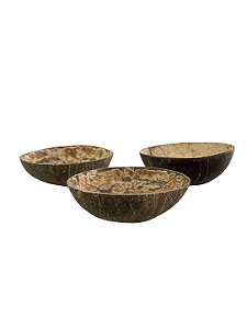 Coite de Coco Natural Sem Base