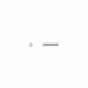 Prego Simples Plástico D=1,6mmx7,3mm Furo Passante