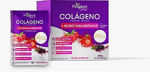 COLÁGENO HIDROLISADO + ÁCIDO HIALURÔNICO CX C/ 30 sch de 5g