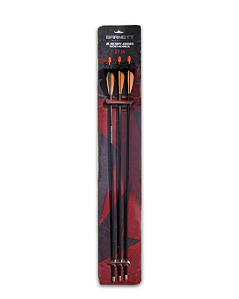 KIT DE FLECHAS BARNETT