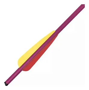 KIT C/ 06 FLECHAS ALUMINIO 20p(50,8 CM) RED
