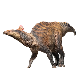 Figure Edmontosaurus Zabad - The Edmontosaurus 080 Original PNSO