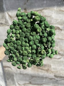 Botão Verde Desidratado - 200 Unidades