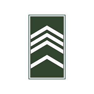 Divisa Emborrachada 2° Sargento