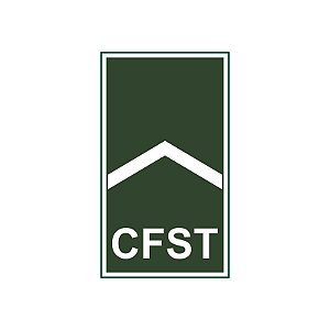 Divisa Emborrachada CFST Soldado Profissional